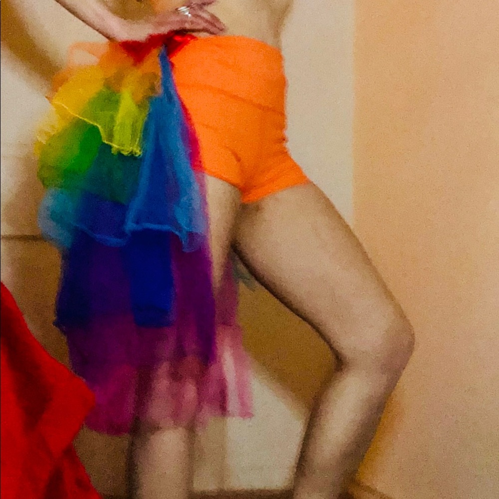 Hand Crafted Rainbow Bustle